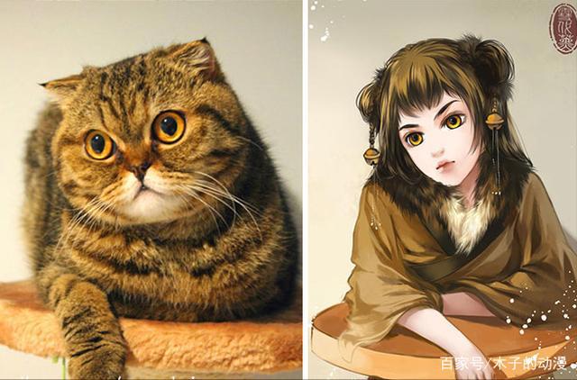 养狗还是养猫，当她把猫和狗用漫画的形式画成人像时，我迷惑了
