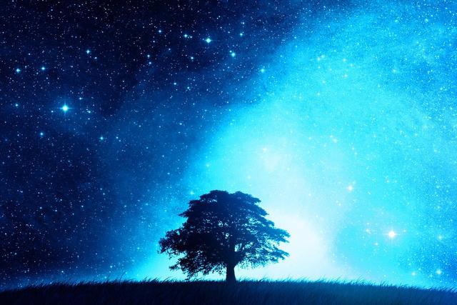 中国二次元真正的起源地！在座的诸位，有谁还记得某空卫视呢？