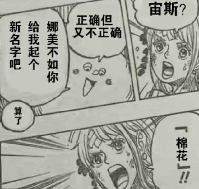 宙斯重获新生，意外获得变化能力，娜美取的新名称却遭宙斯吐槽