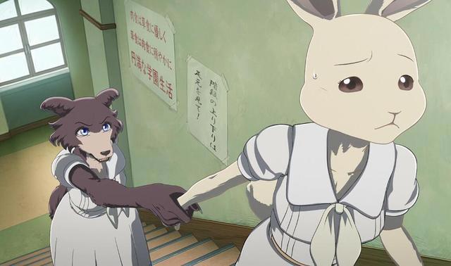 动物狂想曲完结，狼兔CP上演修罗场，狼妹告白却迎来完败