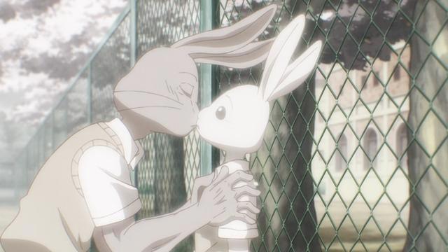 动物狂想曲第二季制作已定，路易或混黑道，请给我更多雷狗子！