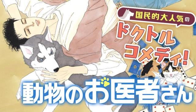 以动物为主题的动画你喜欢哪部？日媒投票以动物为主角的漫画排行