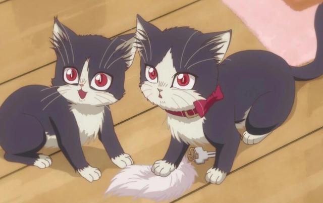 以动物为主题的动画你喜欢哪部？日媒投票以动物为主角的漫画排行