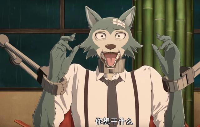 动物狂想曲Ⅱ第4话：狗子拿错女主剧本？狼妹“超凶的”！