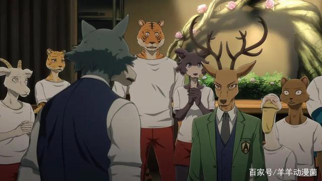 一月追番导视，动物狂想曲第二季即将回归，有哪些续作强势回归？