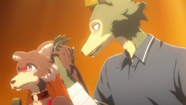 官宣《动物狂想曲》第二季制作决定，新登场的角色，板垣巴留贺图