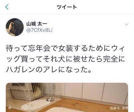 「大哥哥」这类「缺德梗」是如何泛滥的？
