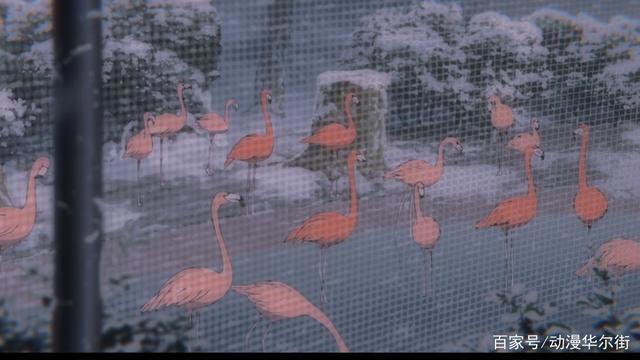 乔西的虎与鱼：少年少女终将被救赎，二人一起，朝着梦与爱出发