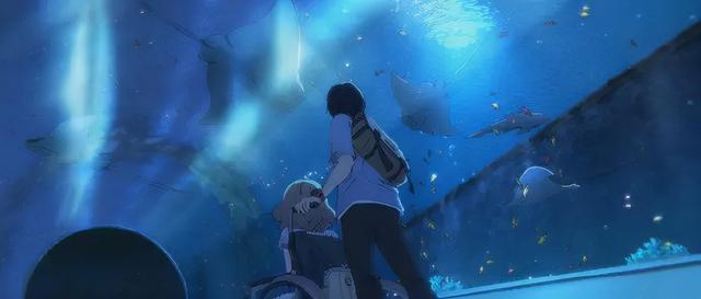 乔西的虎与鱼：剧情略狗血，爱情略强行，画面很精美