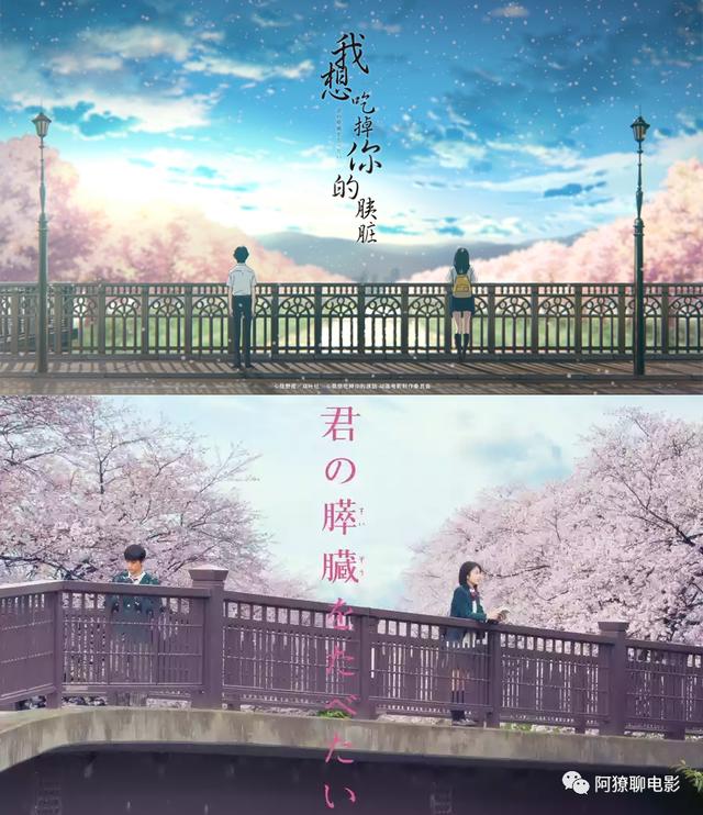 《乔西的虎与鱼》：二次元的鱼VS现实版的虎