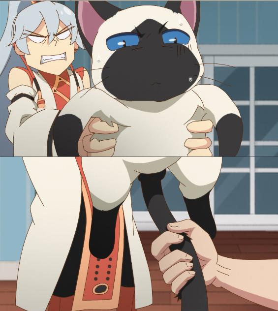 从《镇魂街》到《汉化日记》，成都这个情侣动漫工作室又有大动作