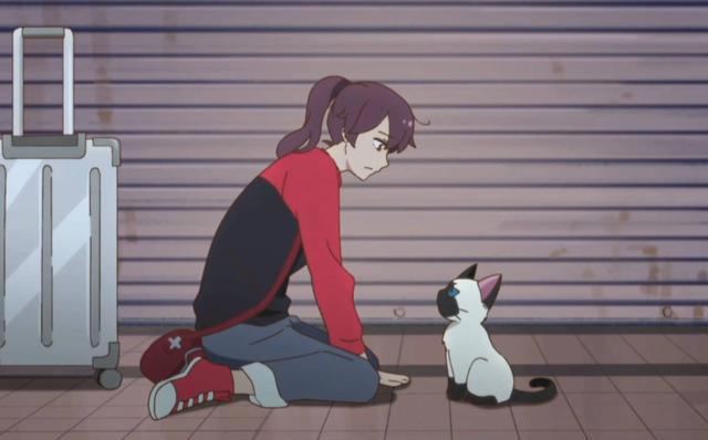 国产动画《汉化日记》将在日本播出bilibili评分9.8