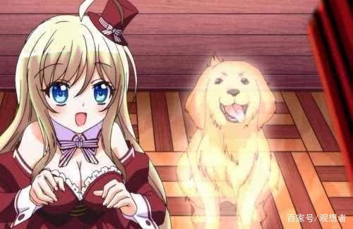 动漫中这些天然呆女主，哪一个更能打动你的心？