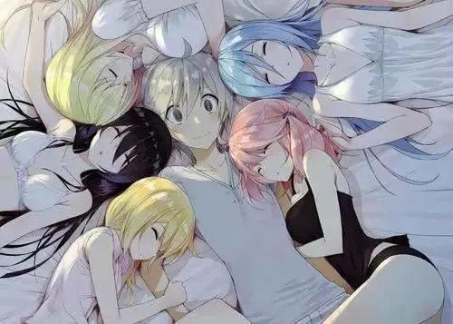 动漫：后宫也可以很有爱？真羡慕这些男主！