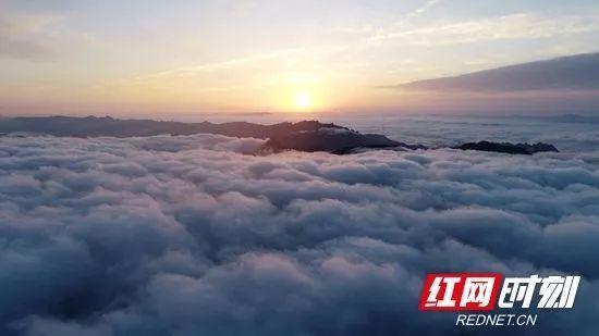 出版湘军：努力在适应与适配中神采飞扬