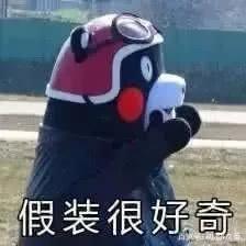 笑到没朋友，这部笑点与污点齐飞的动画看后节操掉了一地！