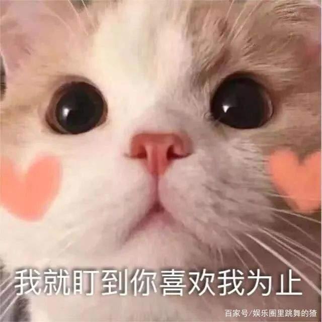 《兄坑》作者发博哭诉，乔诗语连累国漫停更，第三季上线希望渺茫