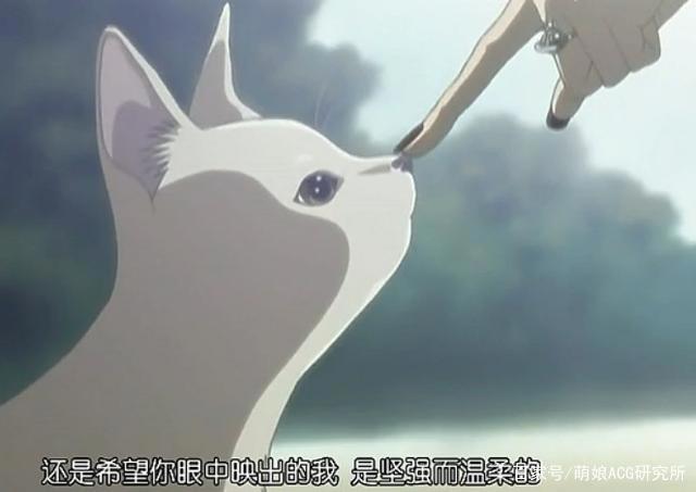 世界上的另一个我——《NANA》