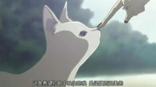 《NANA》是成人动画的一股清流，看过后让人欲罢不能