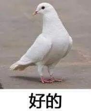 360°无死角的动画公司，却做出整个日本动画史上倒数第一的番！