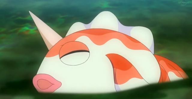 《宝可梦旅途》水君被小豪收复丢研究院，水君：只是心累罢了