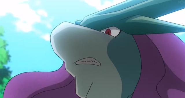 《宝可梦旅途》水君被小豪收复丢研究院，水君：只是心累罢了