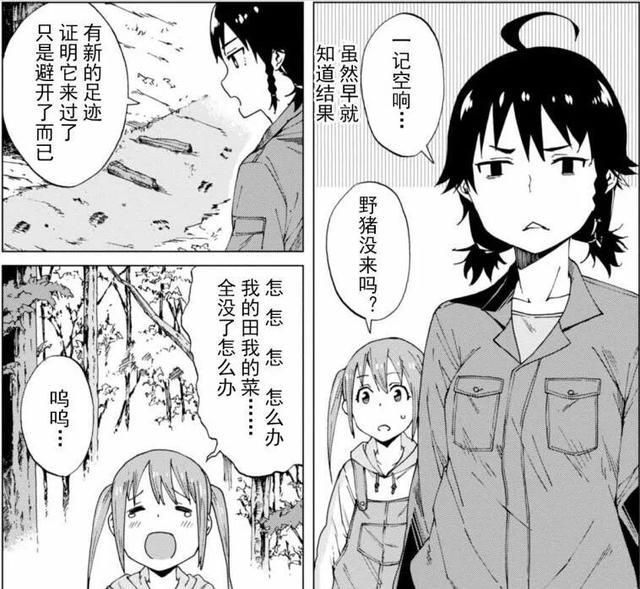 超硬核的猎人漫画，日本少女为保护农田与野兽们斗智斗勇