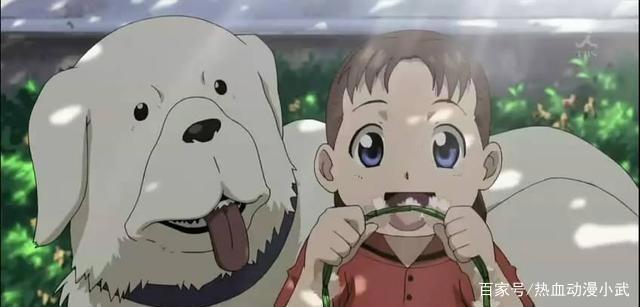 《钢之炼金术师FA》那些触动内心的情节，你是否为这部动漫流过泪