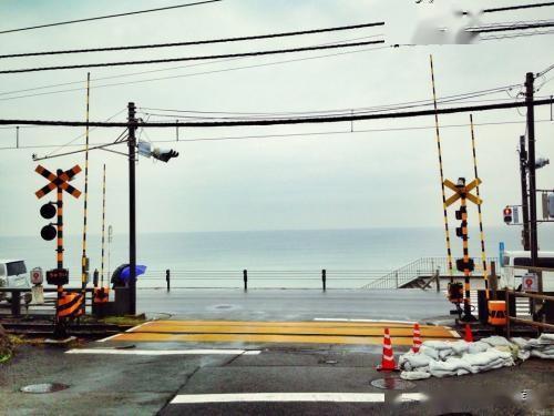 被日本电车迷攻击的外国人，成为了日推上最火的网红