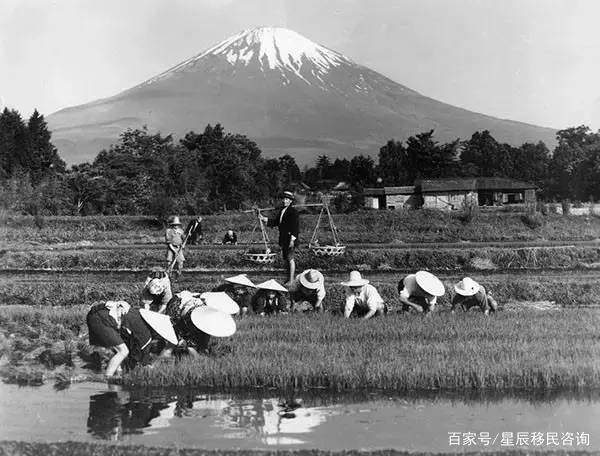 电影看世界系列01：樱花国度——日本