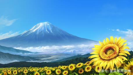 电影看世界系列01：樱花国度——日本