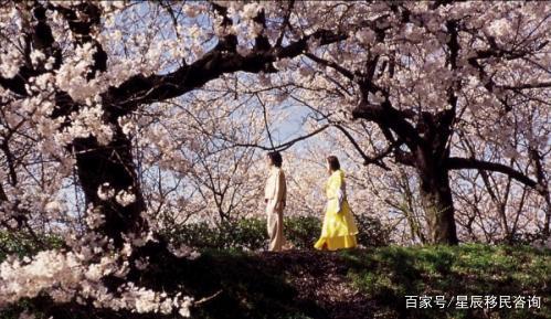 电影看世界系列01：樱花国度——日本