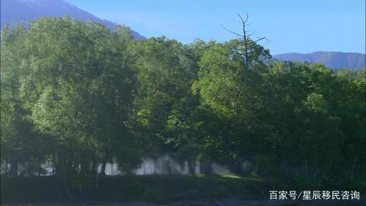 电影看世界系列01：樱花国度——日本