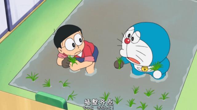 哆啦A梦动漫，体验农作物的生产过程，还是蛮辛苦的！