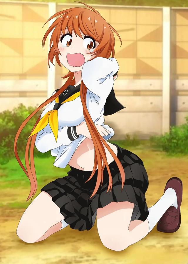 补番系列《伪恋》，花开万里，万里开花