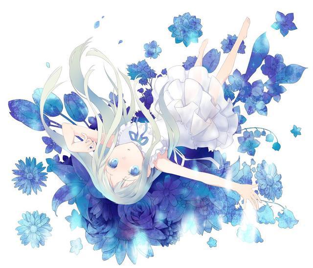 电脑壁纸｜我们仍未知道那天所看见的花的名字
