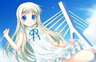 我们仍未知道那天所看见的花的名字