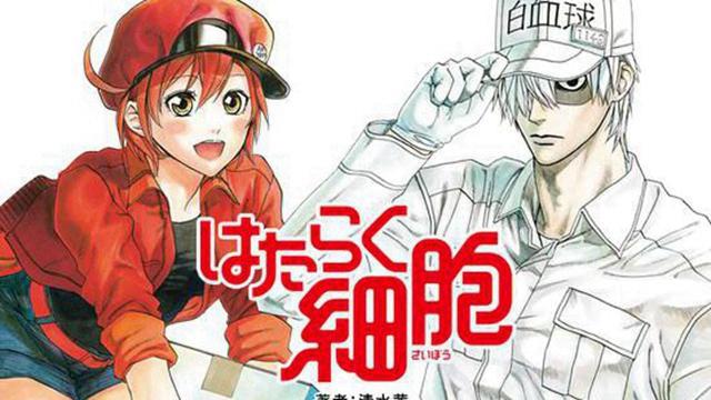 盘点：花泽香菜配音的5个角色，一部播放过亿，可惜“不笑”