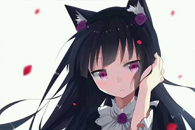 动漫中穿哥特萝莉装的妹子，黑猫的哥特装真的让人“一本满足”啊