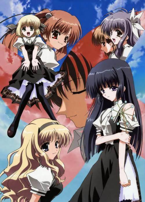 动漫：心情不好就看看后宫番，越看越过瘾！