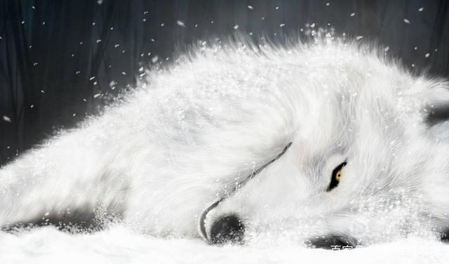 情节最神秘的三部动画片，故事很离奇荒诞，动漫狂也未必能看懂！