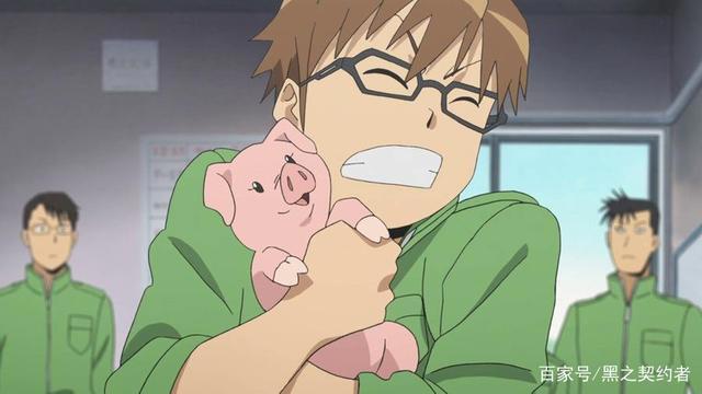 夜深人静，看看这些冷番再合适不过