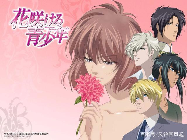 恋爱动漫大合集，你想要的爱情这里都有