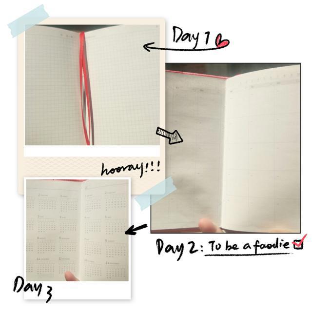 花语程行大开箱，迷你世界手帐套装超好看