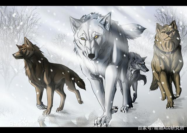 绝望时代的诗与歌——《狼雨》