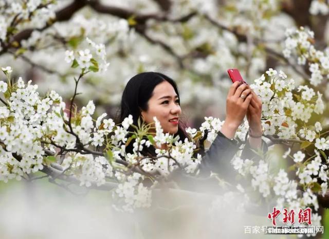 石家庄，其实也没什么！