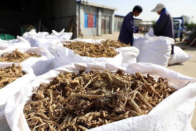 一座城市，七种内涵……这很石家庄！