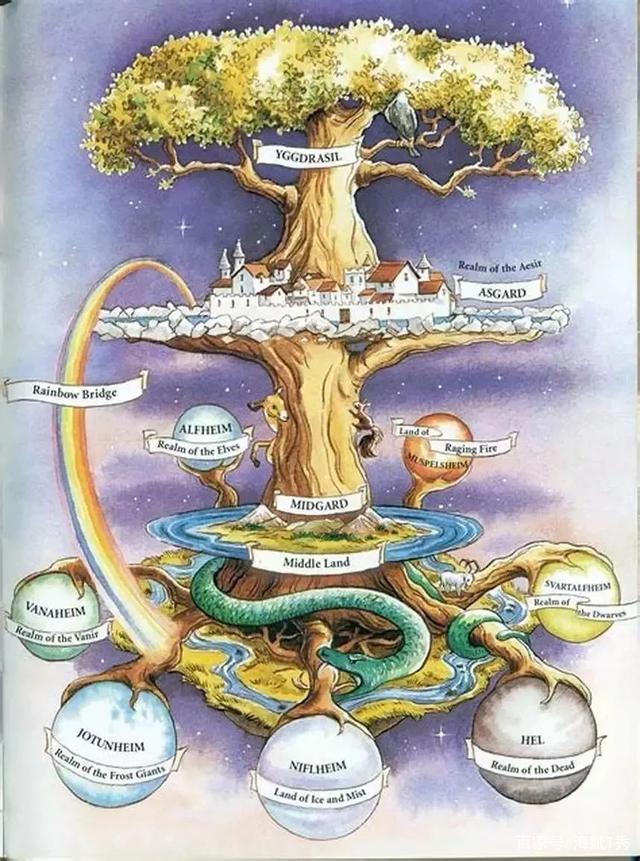 海贼王：尾田珍藏的秘密世界地图，全方位带你了解海贼王星球！