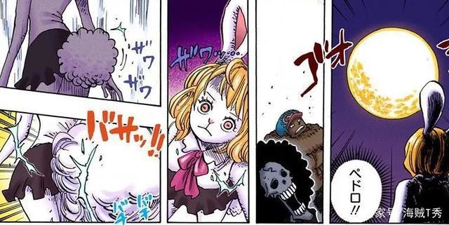 海贼王：尾田珍藏的秘密世界地图，全方位带你了解海贼王星球！