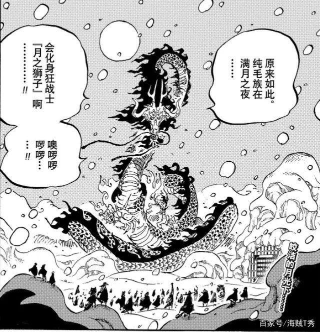 海贼王：尾田珍藏的秘密世界地图，全方位带你了解海贼王星球！